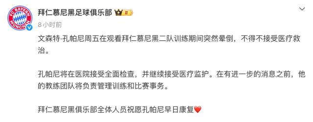 xpj官网详情图
