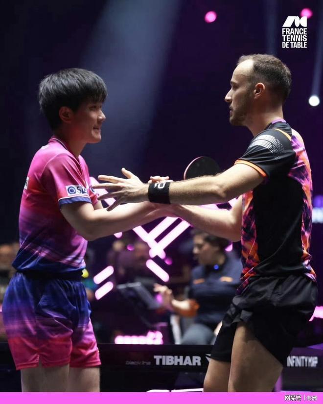 专业xpj官网登录入口服务