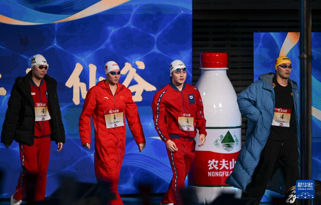 专业xpj官网登录入口服务