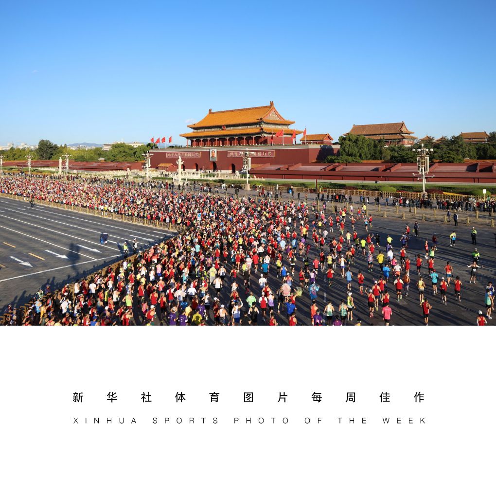 xpj国际详情图